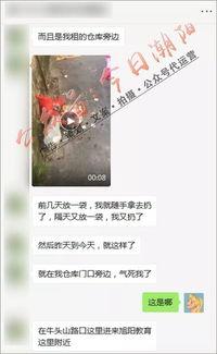 路小姐最新爆料,揭秘娱乐圈惊人内幕