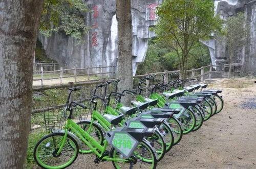 泰安景区爆料事件最新,惊现惊人内幕，游客权益如何保障？