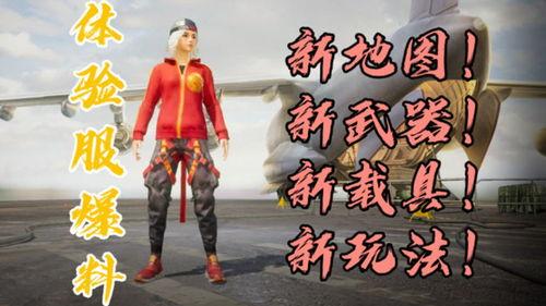 和平精英体检服最新爆料,揭秘游戏内神秘功能与改动